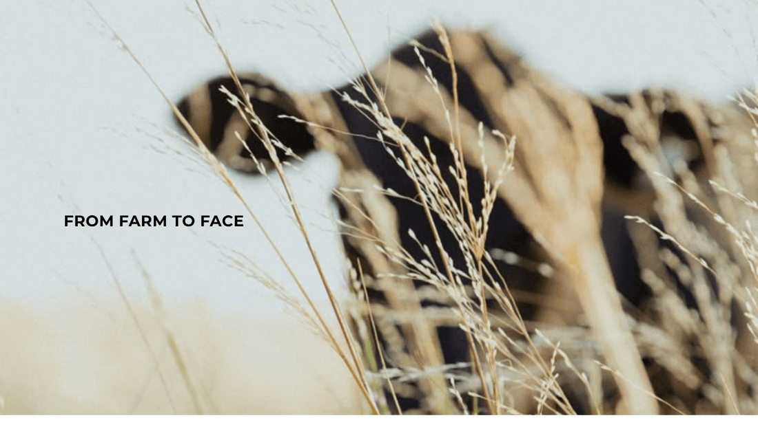 From Farm to Face