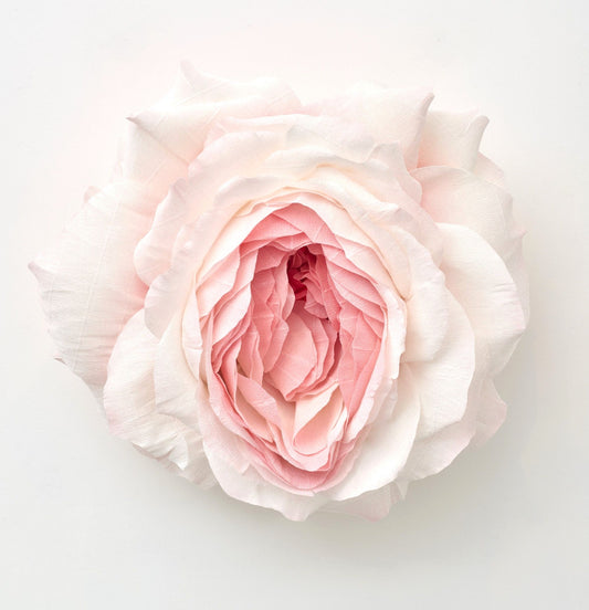 VAGINAL HEALTH PRODUCTS: What the vagina really needs?