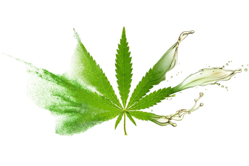 Why We're Moving Forward Without CBD And How You Can Stock Up Before It's Gone