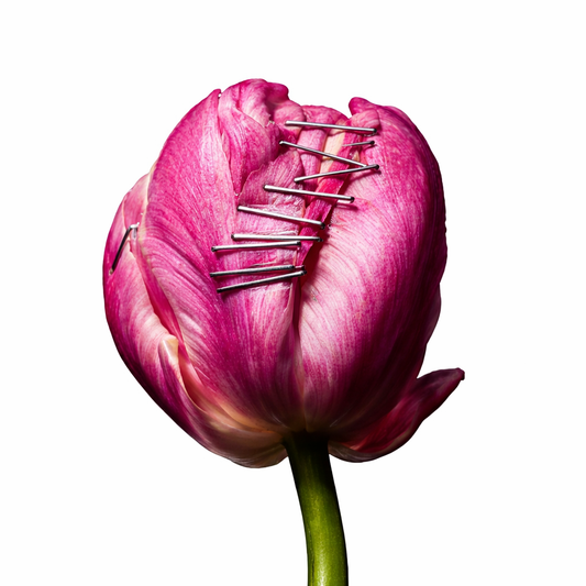 Intimacy Without Discomfort: Understanding Painful Sex and How Women Can Reclaim Pleasure