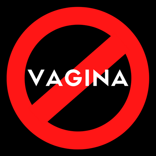 "Vagina" is not a bad word.