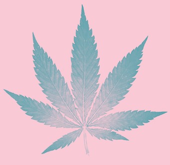 Cannabinoids & Your Vagina